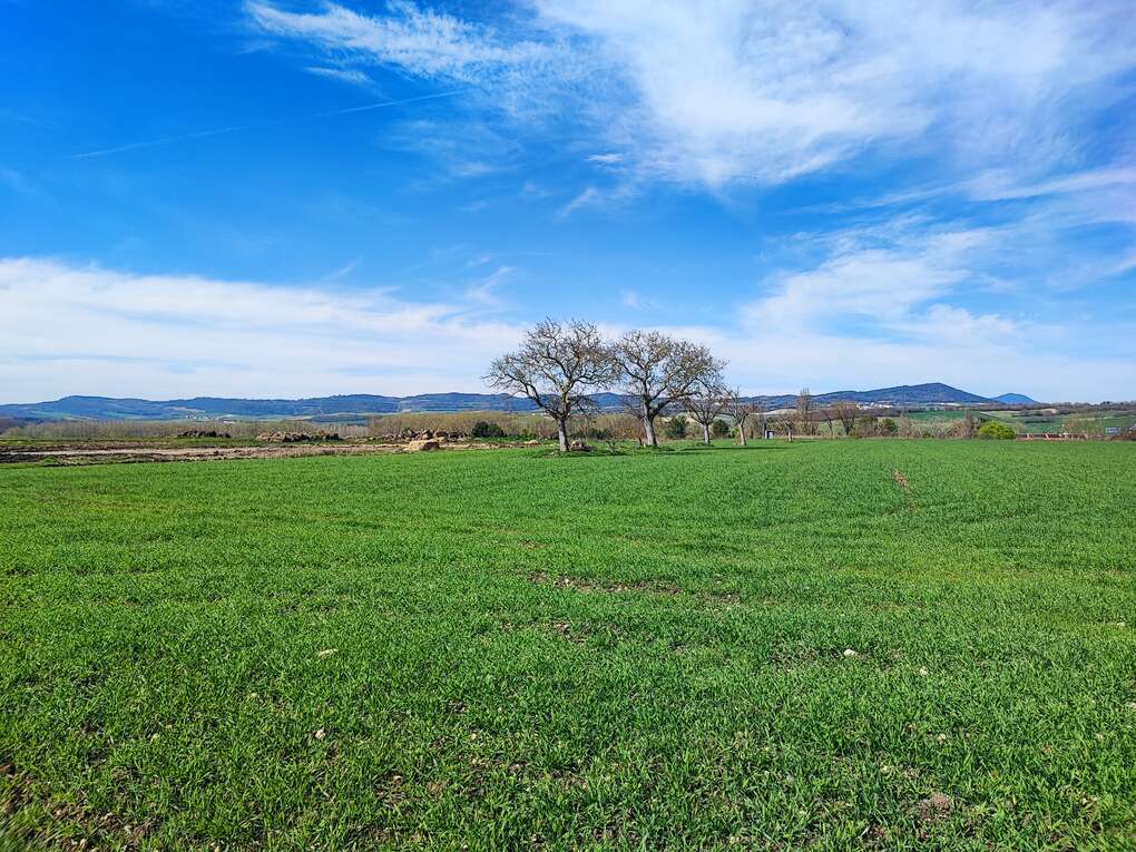 La Puebla de Arganzón - Inmobiliaria Pisos y Más